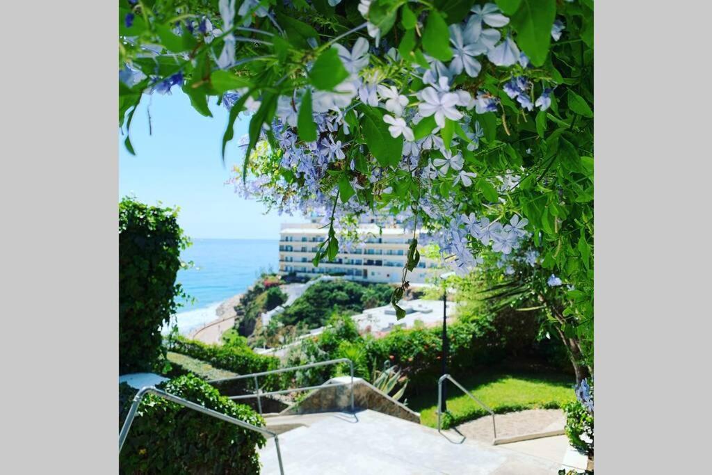 Amazing Frontline Sea Views Castillo Del Vigia Appartement *